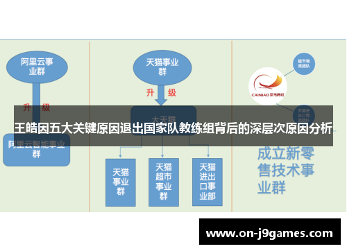 王皓因五大关键原因退出国家队教练组背后的深层次原因分析