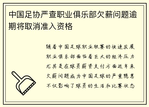 中国足协严查职业俱乐部欠薪问题逾期将取消准入资格 中国足协严查职业俱乐部欠薪问题逾期将取消准入资格
